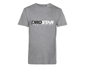 Grijs T-Shirt